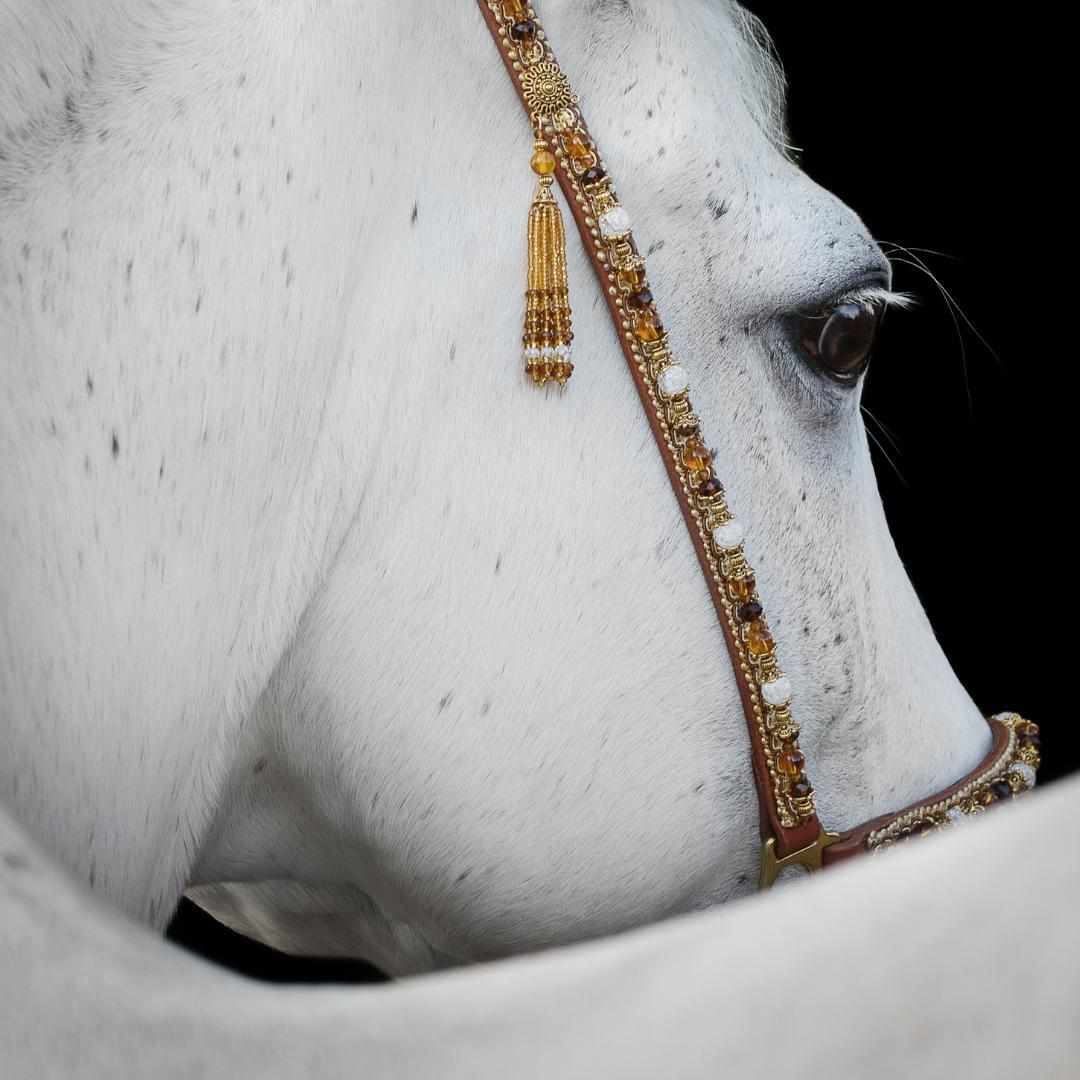 Marbled Howlite Stones - Africana Collection - Soothing - 100 Beads-Islamic Prayer Beads- Tasbih-Misbah-سبحة-مسبحة-BasmalaBeads-Basmala