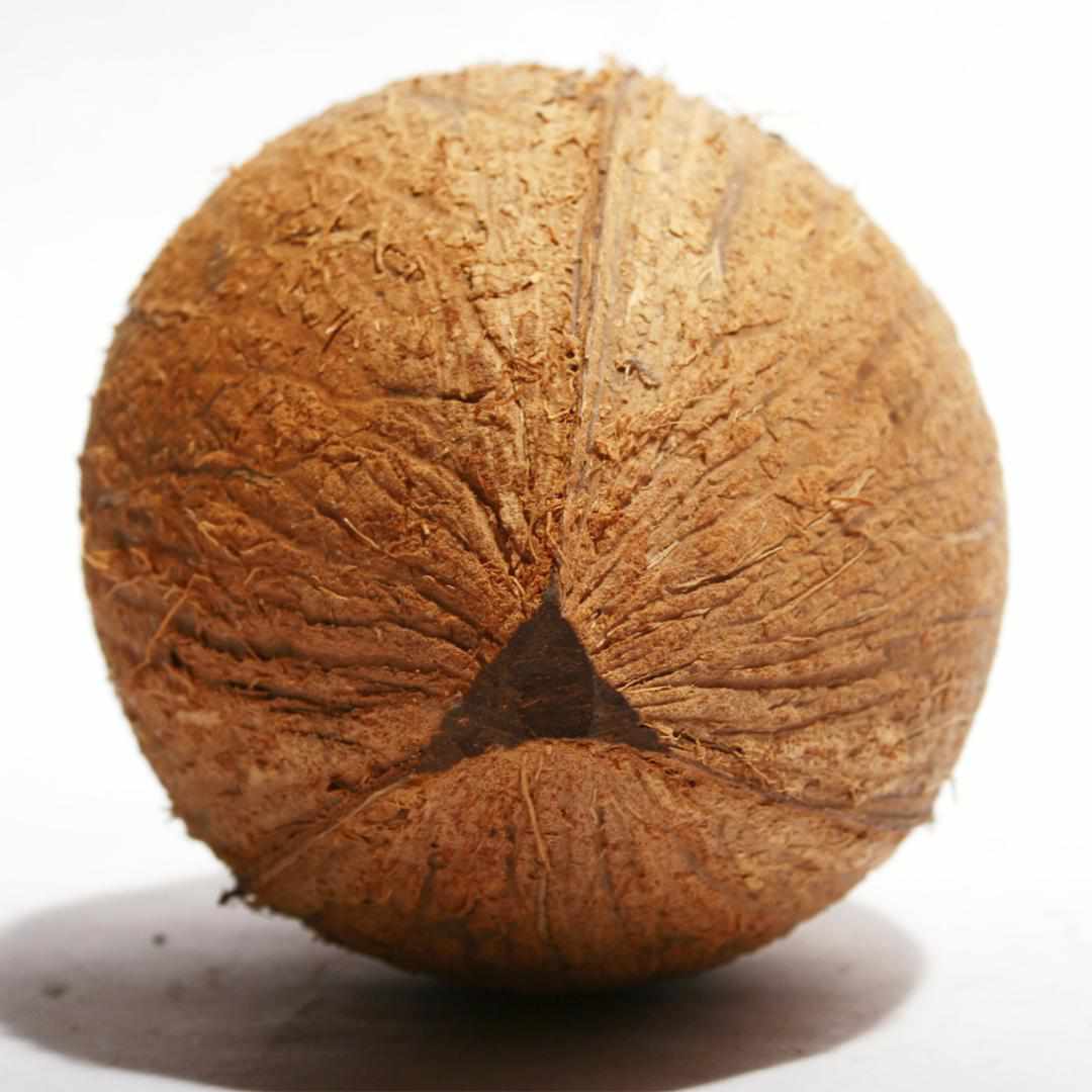 The Connoisseur Misbaha: Kuk Nut (Pomme Edition), 33 Beads, 13mm